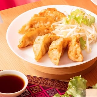 Chicken Dumplings